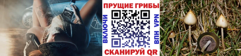 Галлюциногенные грибы GOLDEN TEACHER Опочка